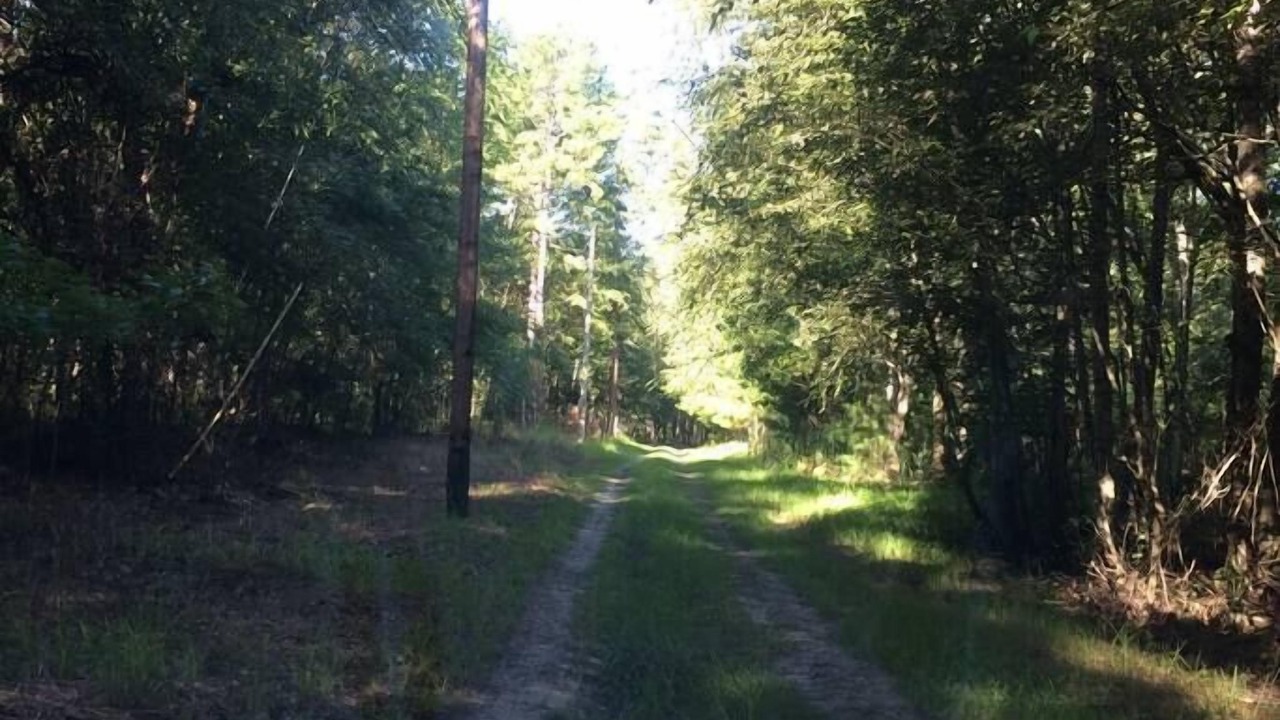 Photo of Others in Claxton