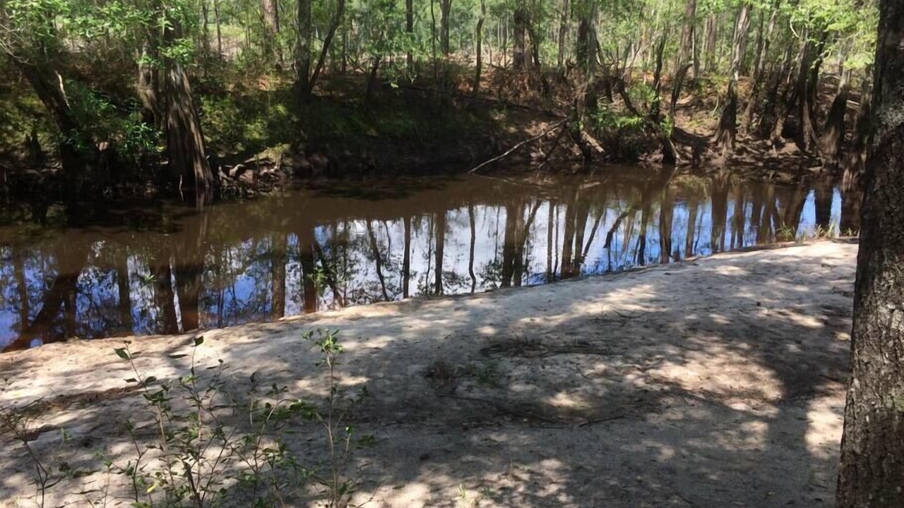 Photo of Others in Claxton