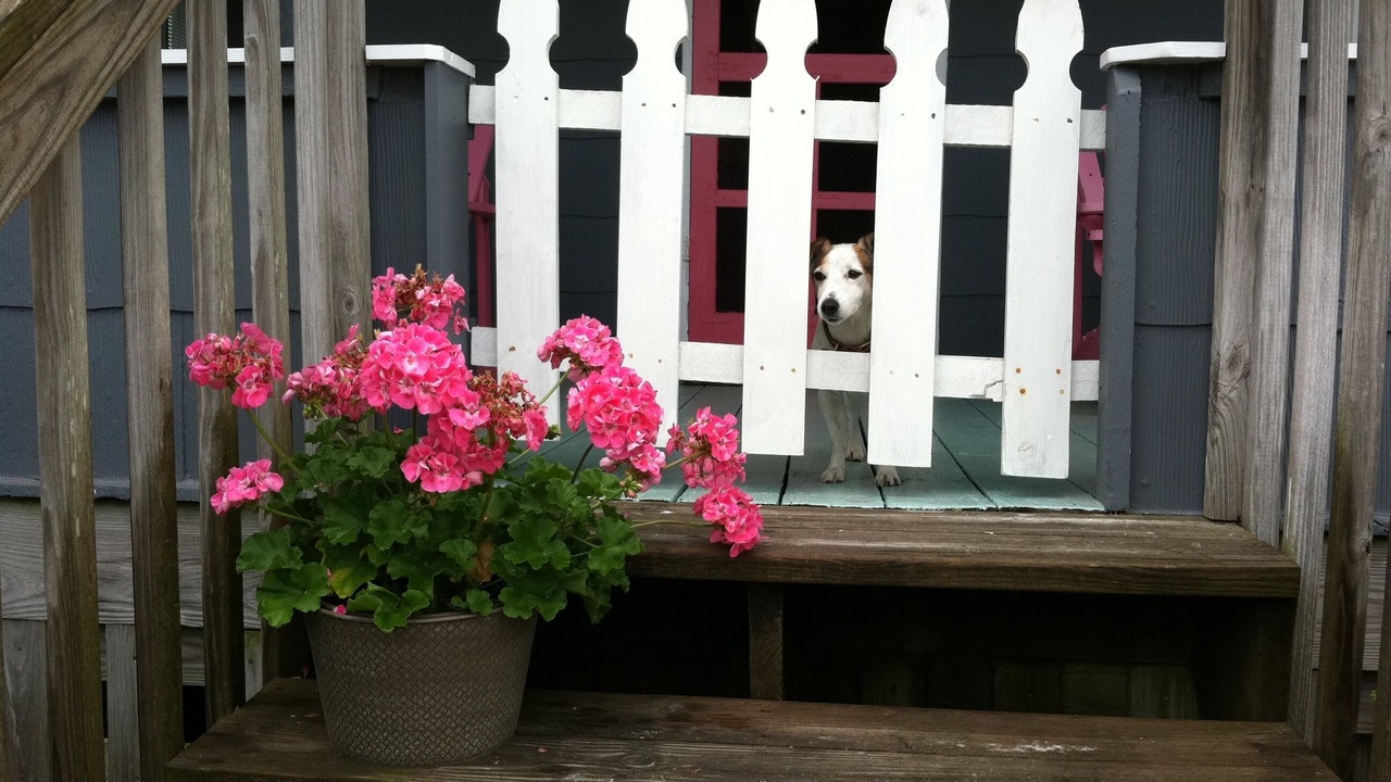 Photo of Outdoor in Nags Head