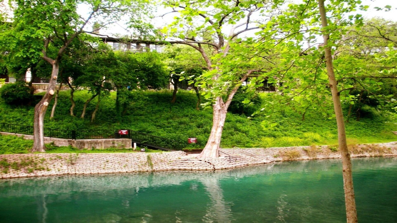 Photo of Others in New Braunfels