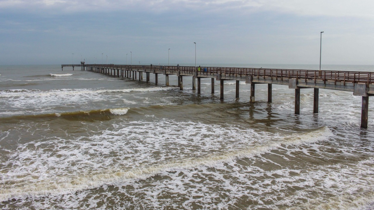 Photo of Others in Corpus Christi