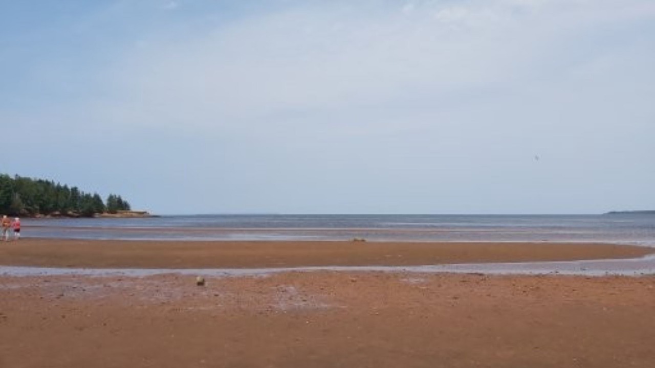 Photo of Others in Canoe Cove