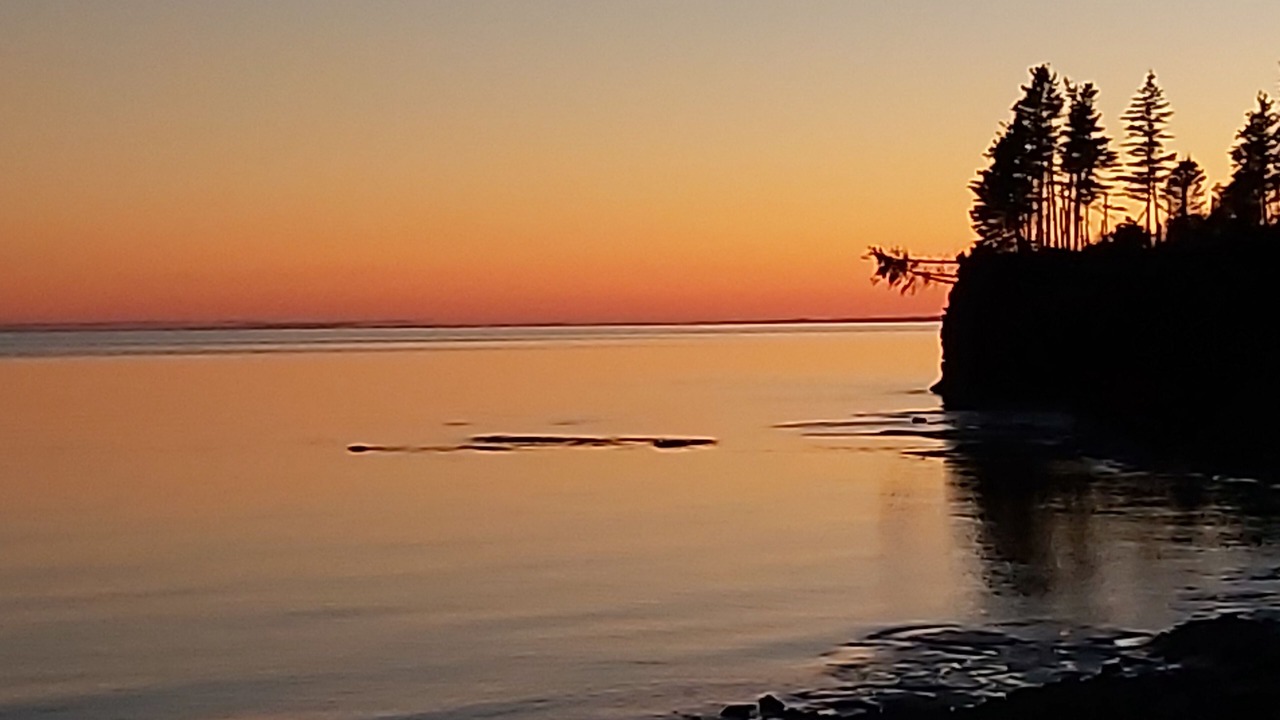 Photo of Others in Canoe Cove
