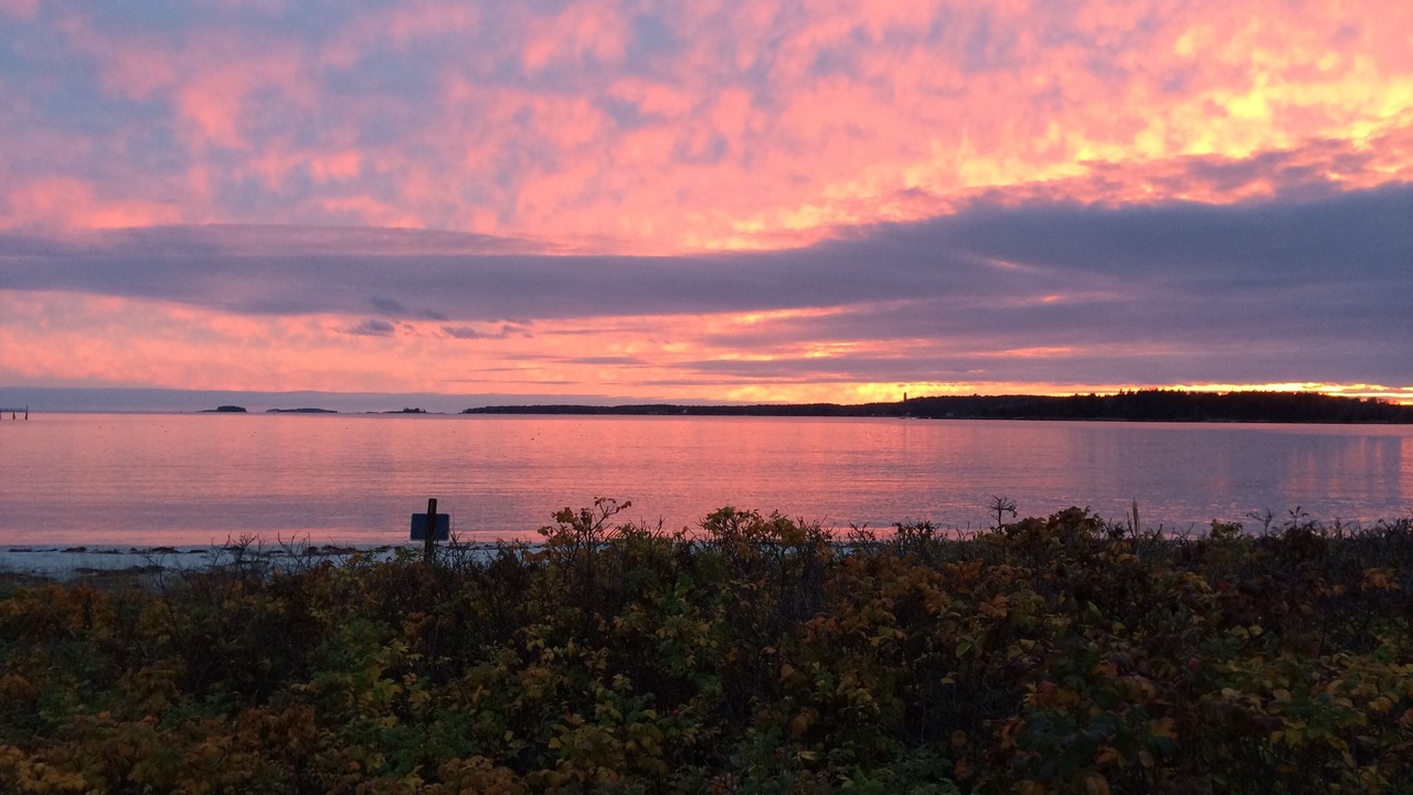 Photo of Others in New Harbor