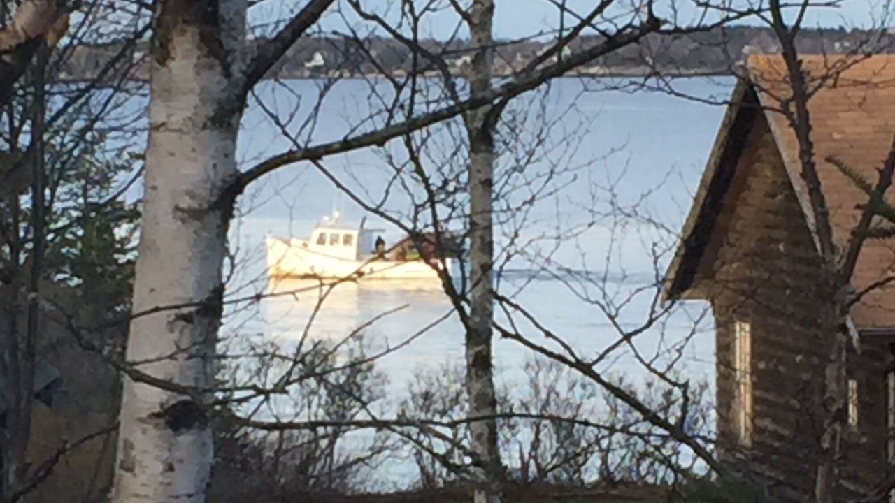 Photo of Others in New Harbor