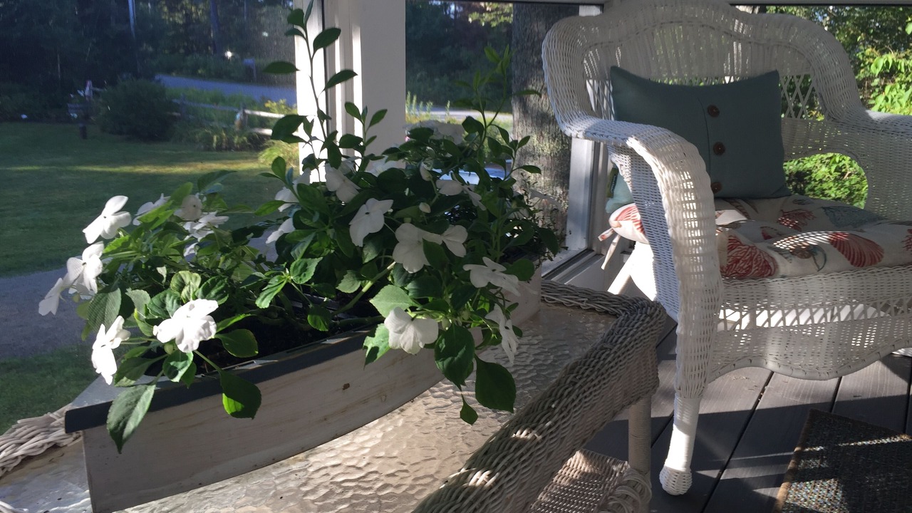 Photo of Others in New Harbor