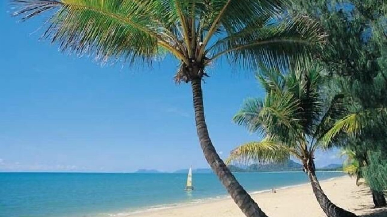 Photo of Others in Palm Cove