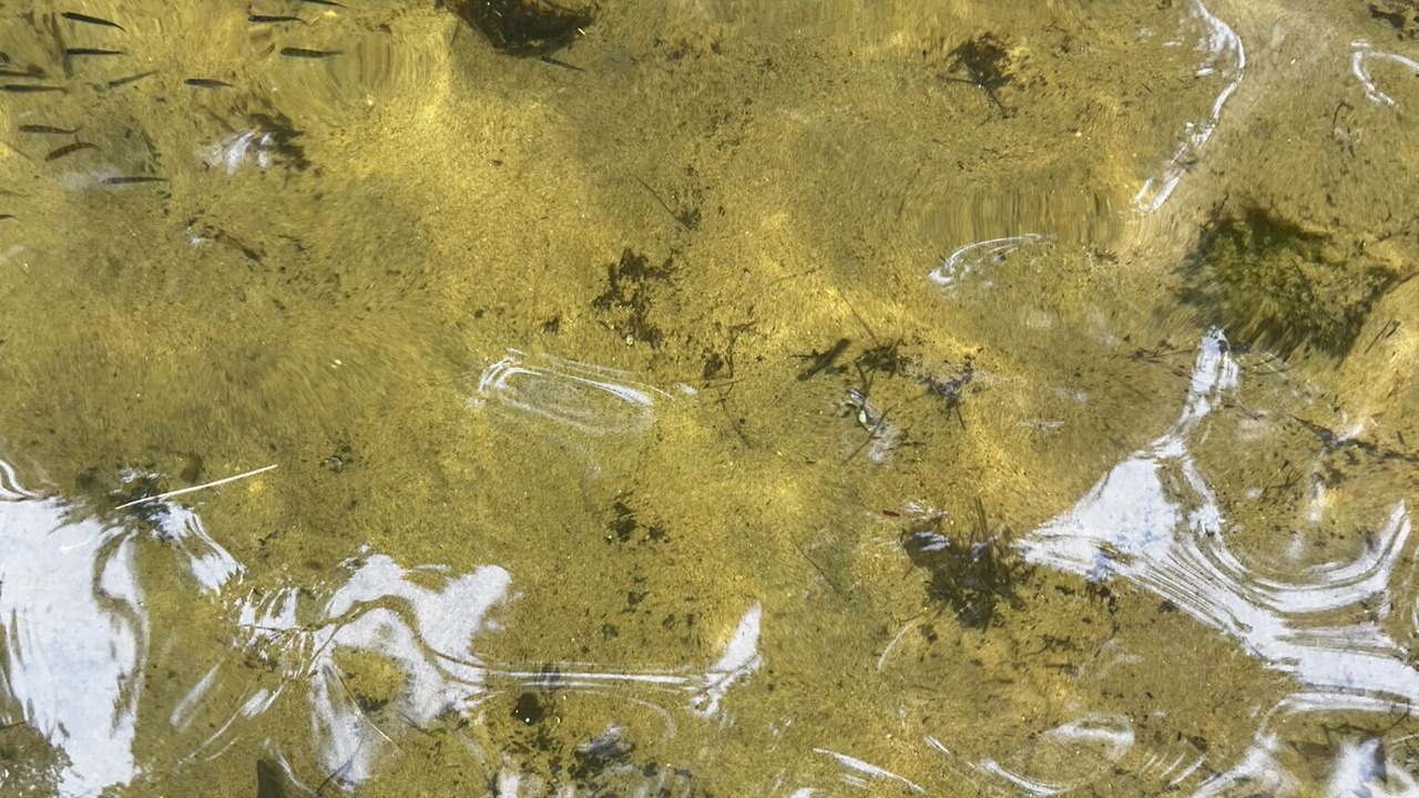 Photo of Others in Minden Hills