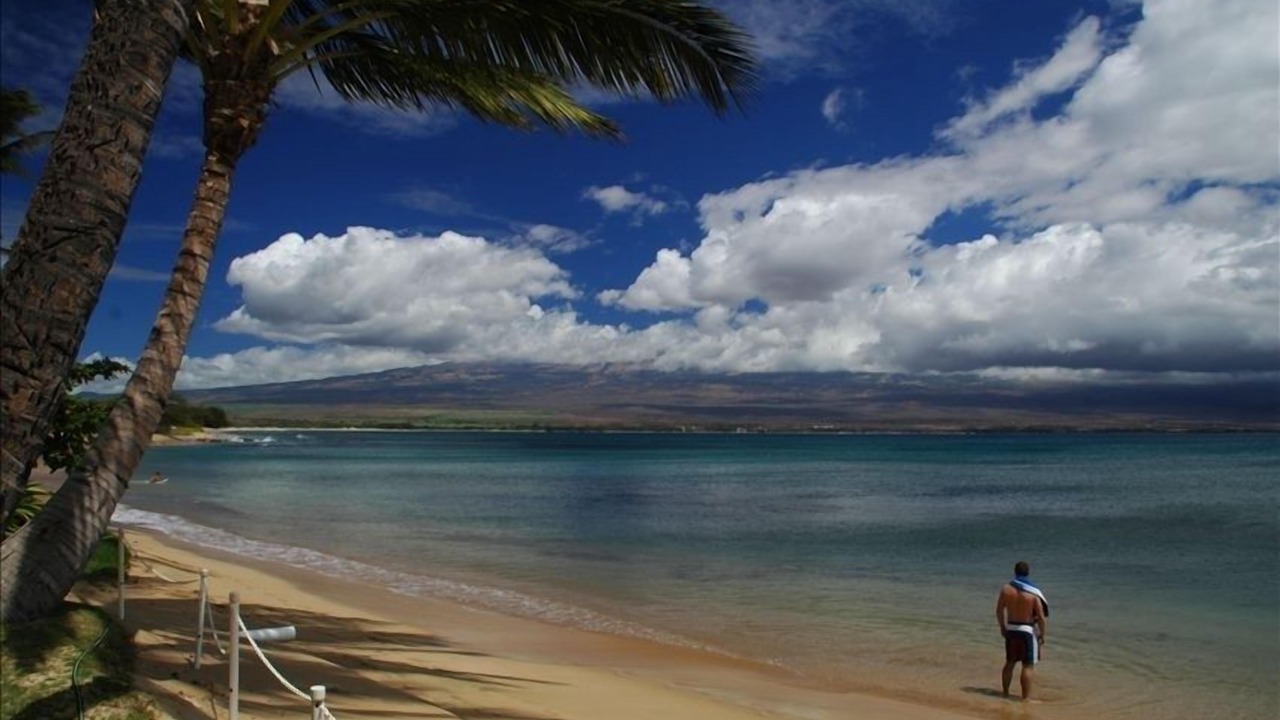 Photo of Others in Maalaea