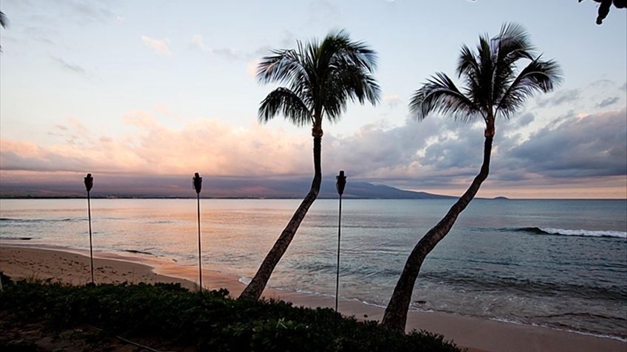 Photo of Others in Maalaea