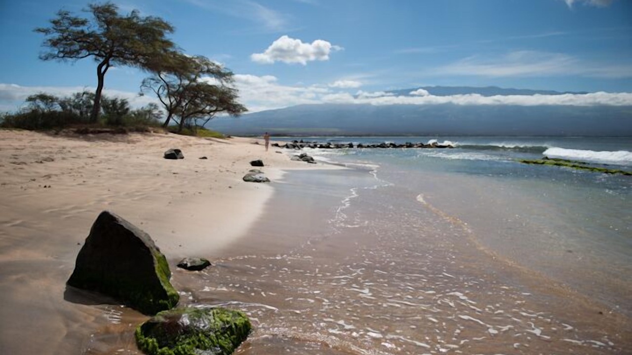 Photo of Others in Maalaea