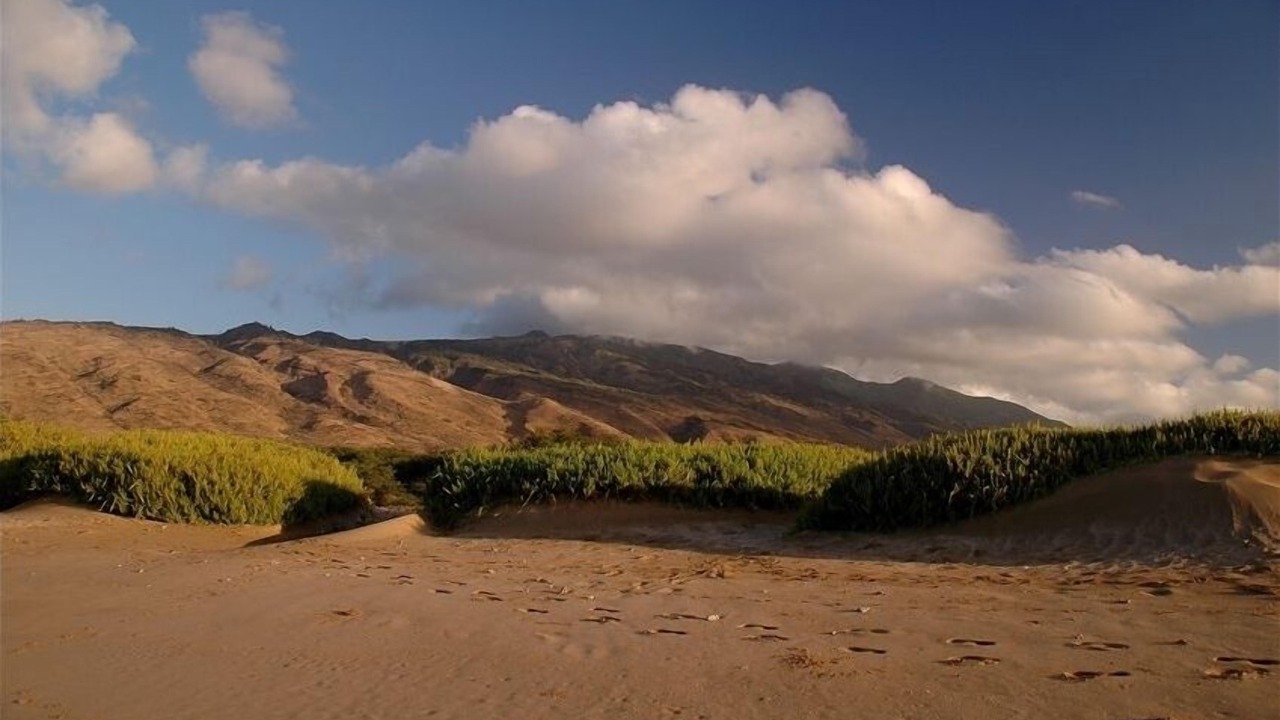 Photo of Others in Maalaea