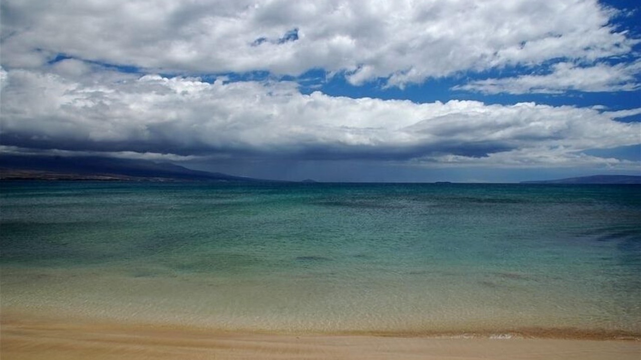 Photo of Others in Maalaea