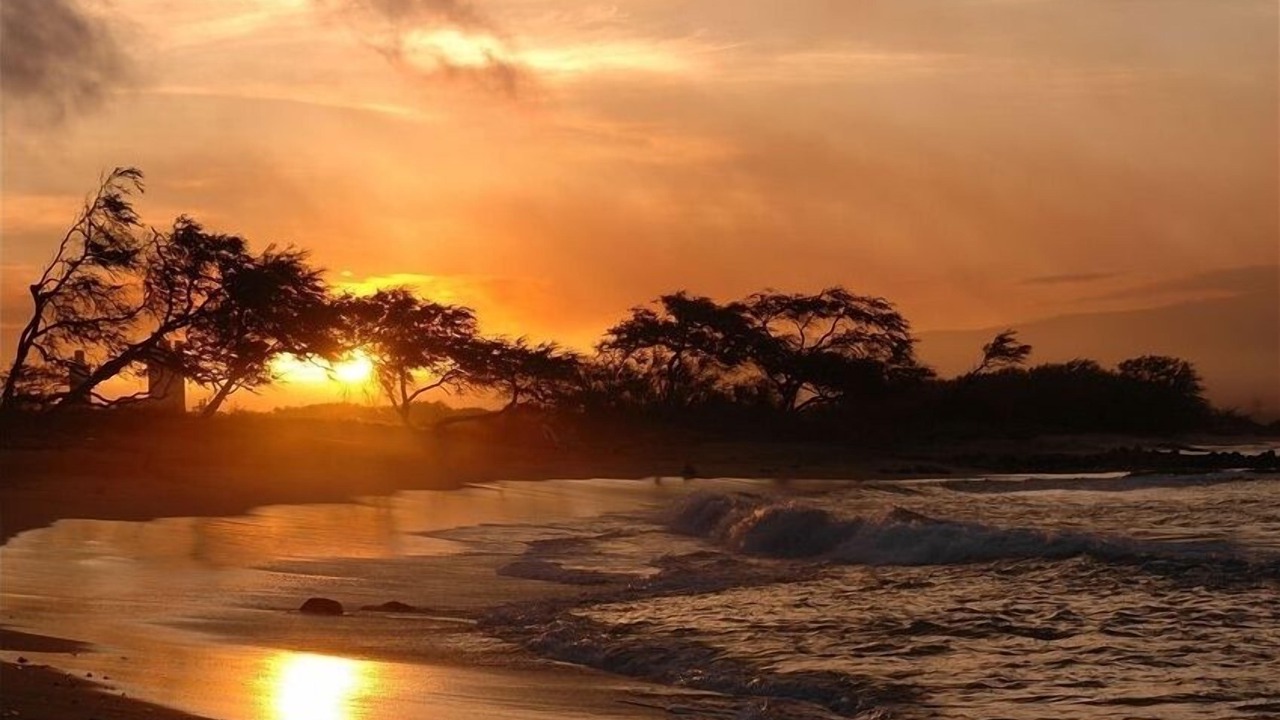 Photo of Others in Maalaea