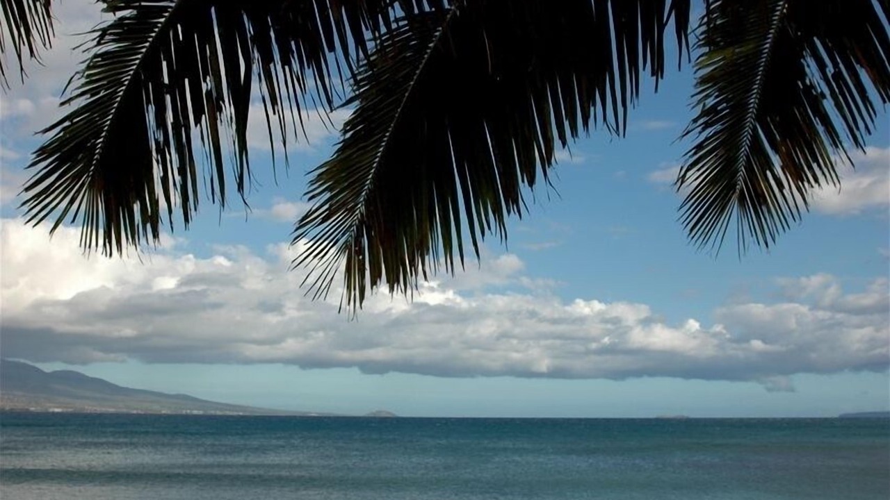 Photo of Others in Maalaea