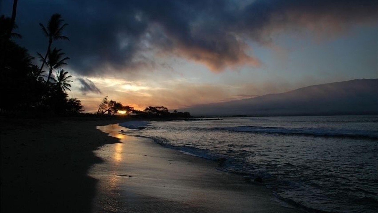 Photo of Others in Maalaea