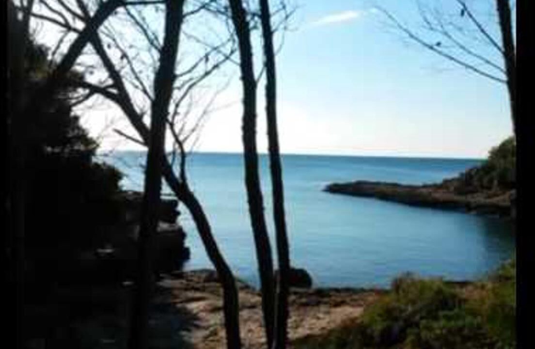 Photo of Others in Costa Dorada
