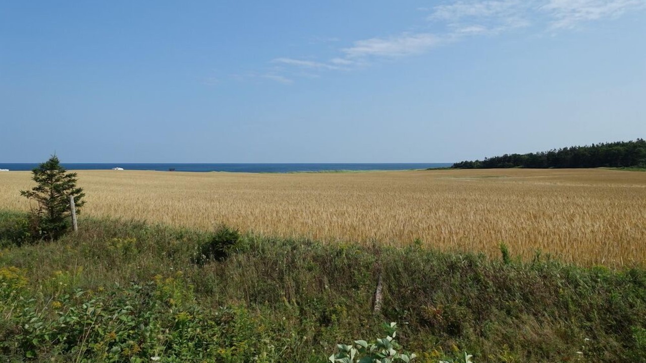 Photo of Others in Sea View