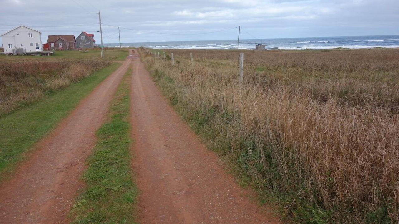 Photo of Others in Sea View