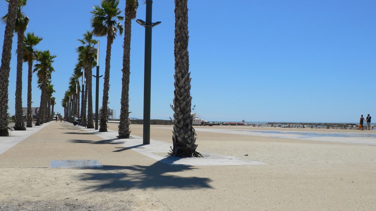 Photo of Others in Sete