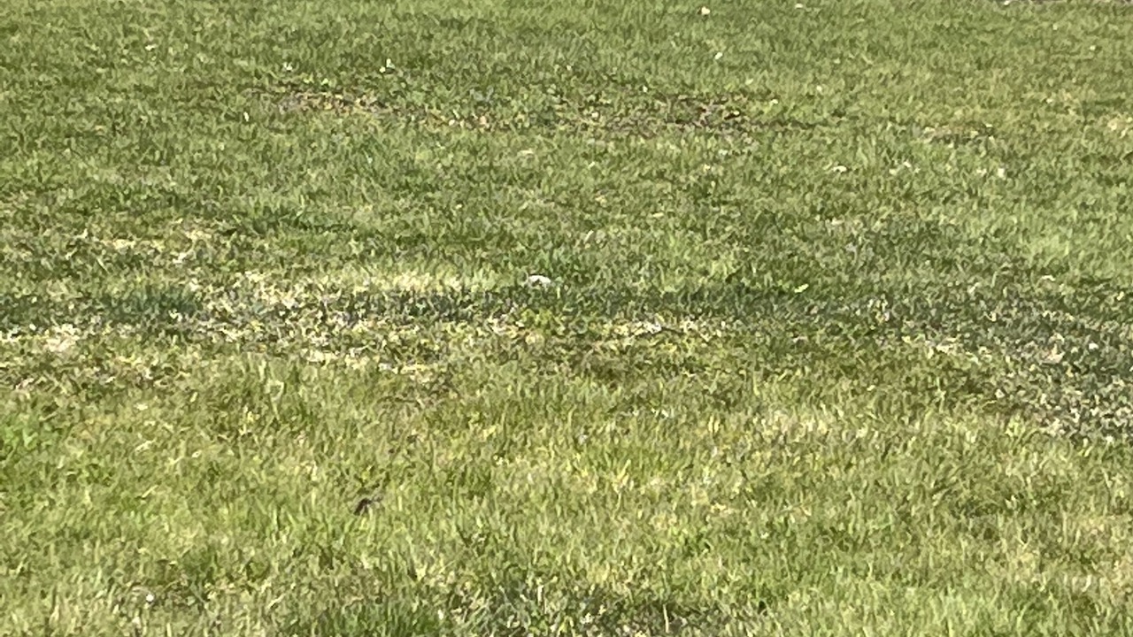 Photo of Outdoor in Fort Erie