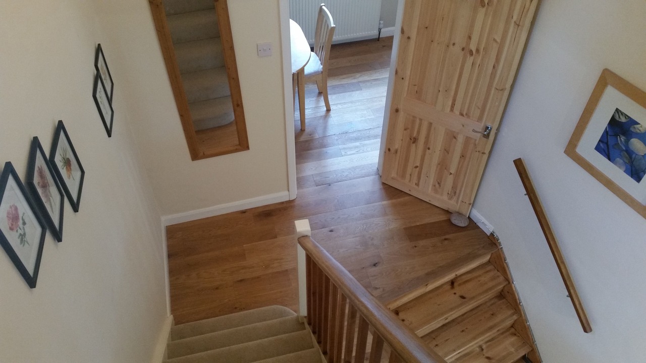 Photo of Others in Sheffield Green