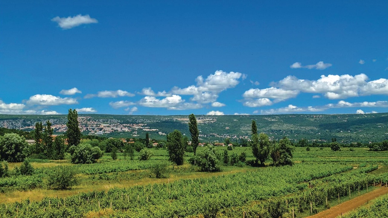 Photo of Others in Imotski