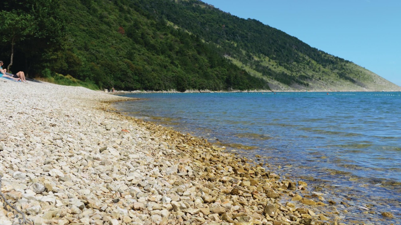 Photo of Others in Plomin