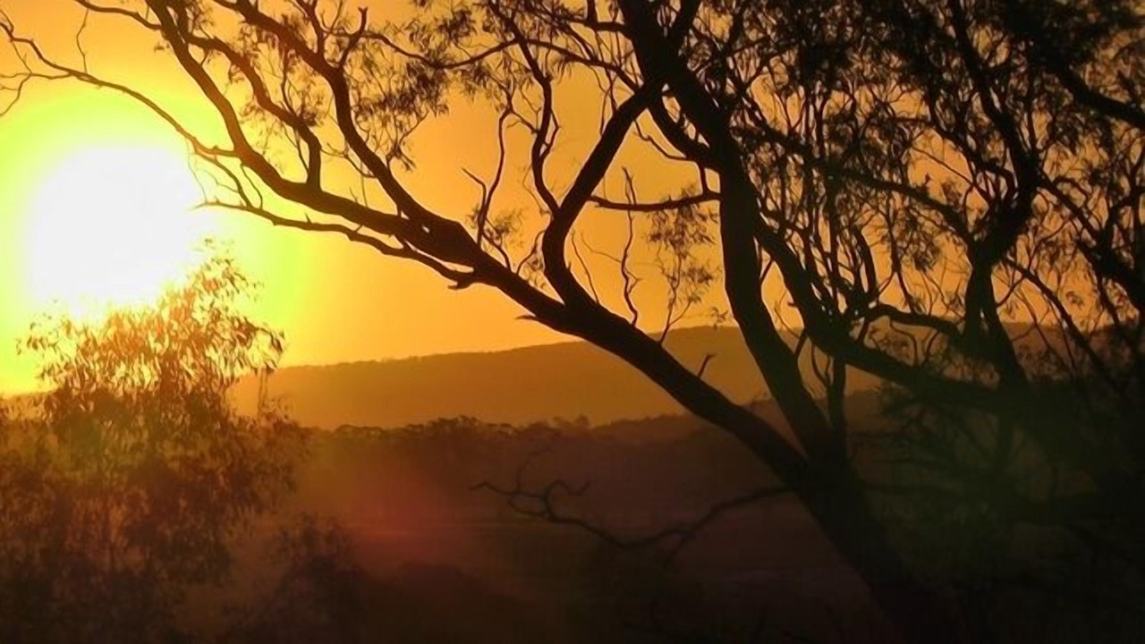 Photo of Others in Bung Bong