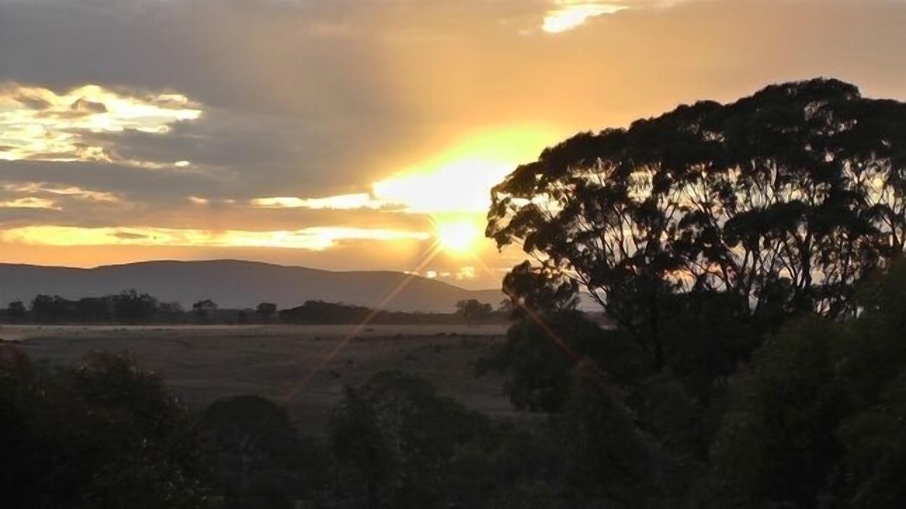 Photo of Others in Bung Bong