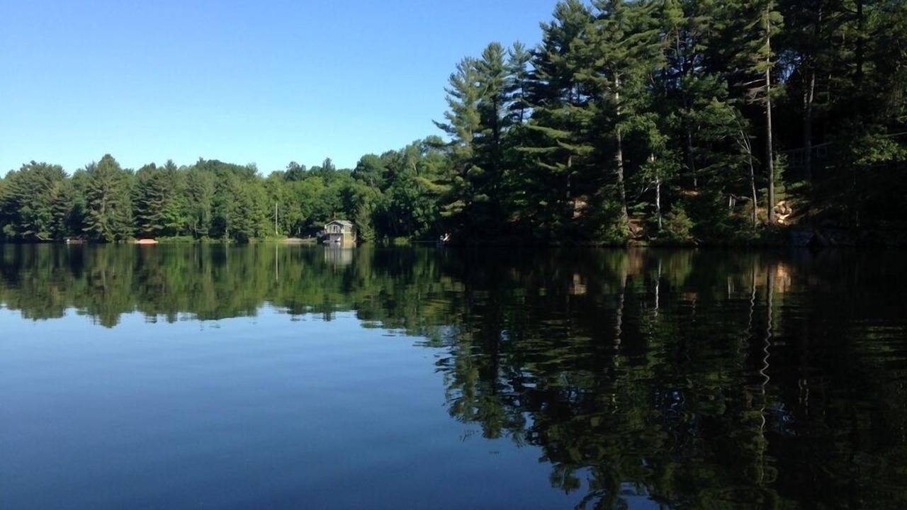 Photo of Others in Parry Sound