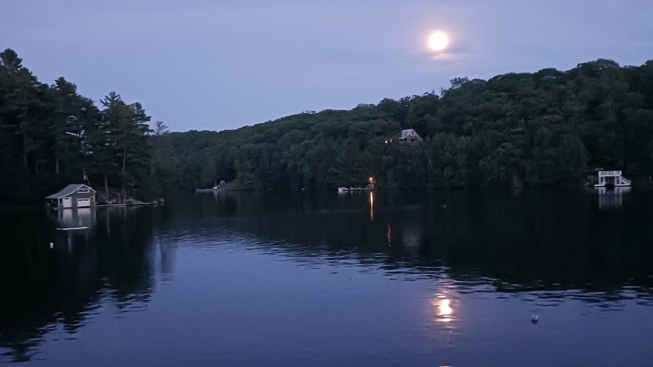 Photo of Others in Parry Sound