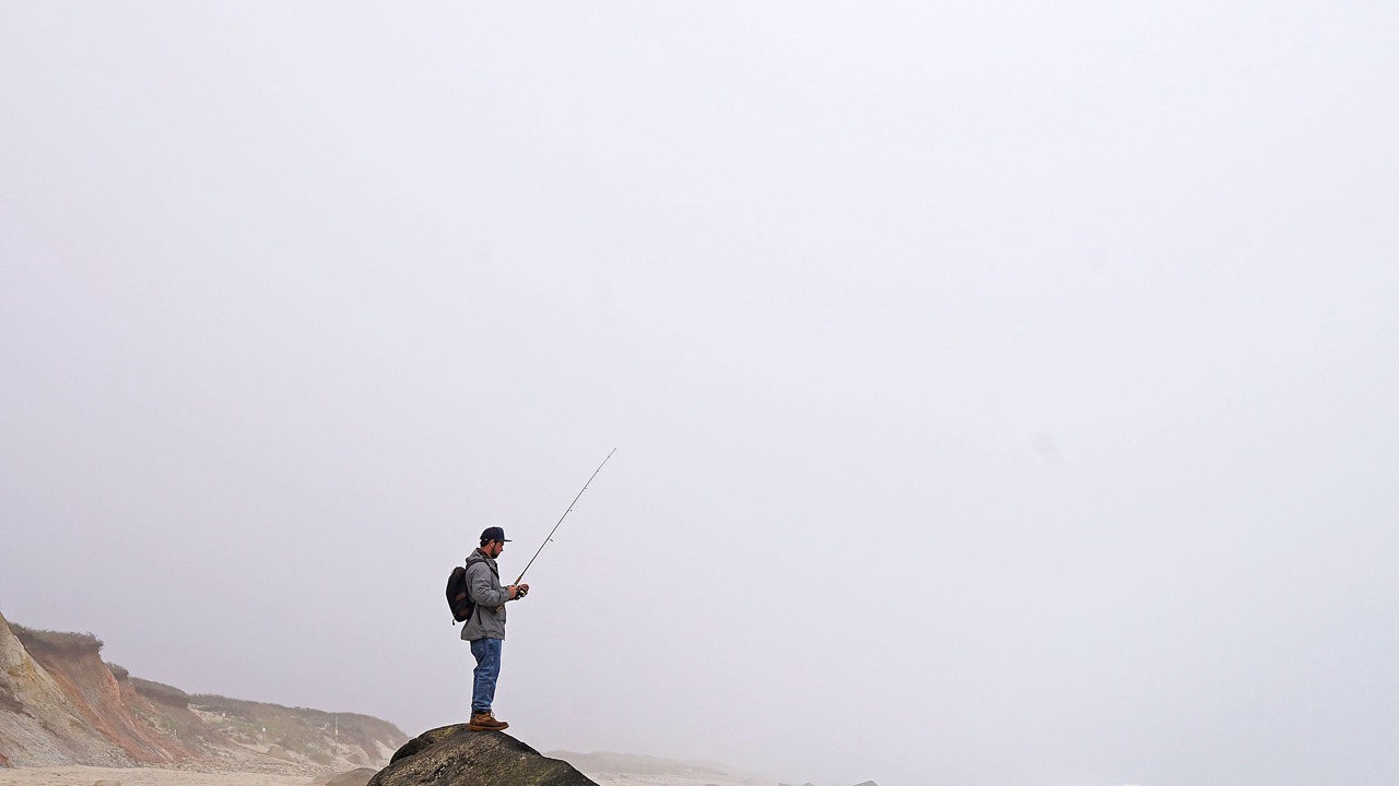 Photo of Others in Edgartown