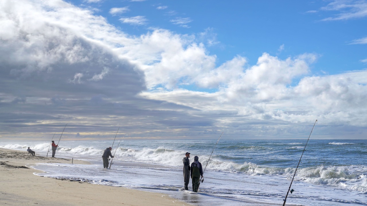 Photo of Others in Edgartown
