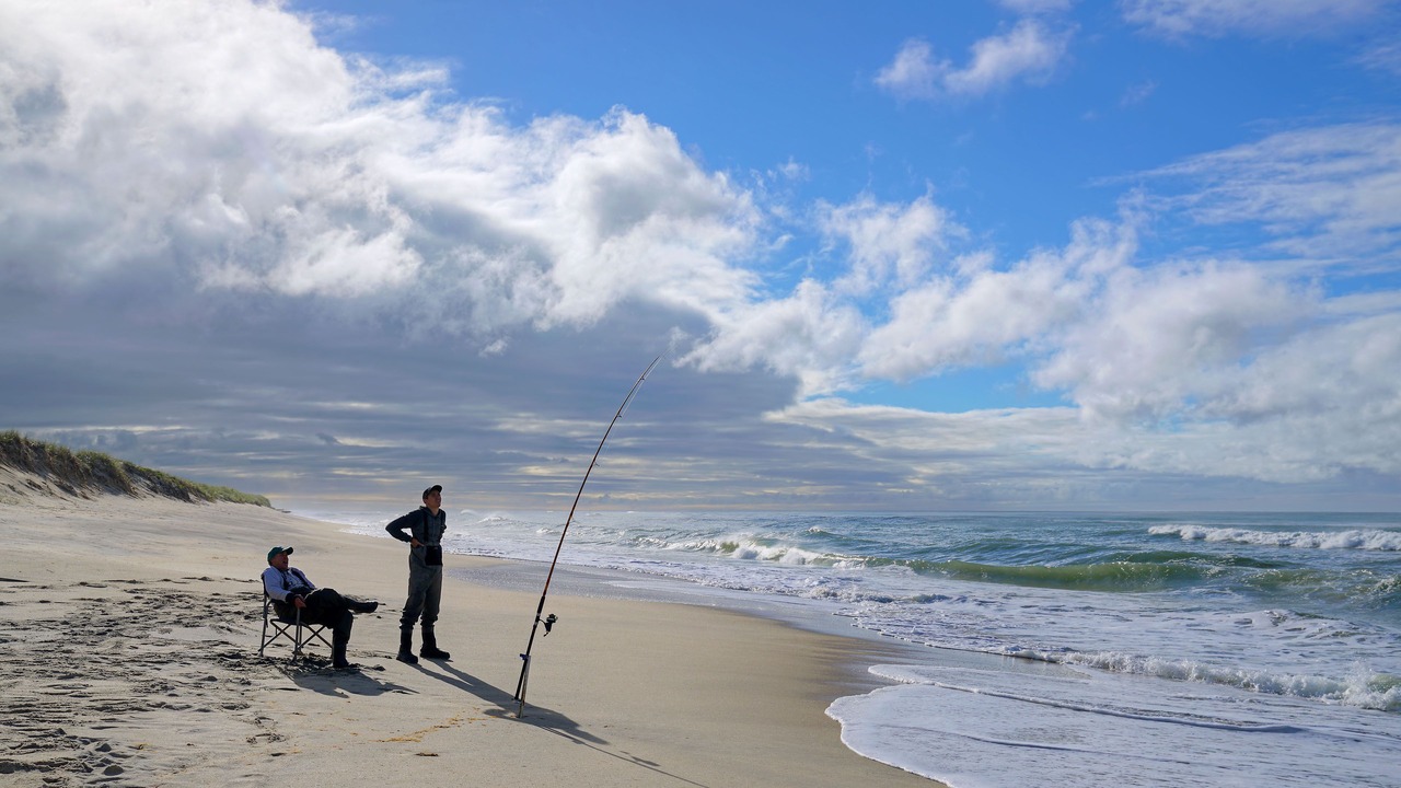 Photo of Others in Edgartown