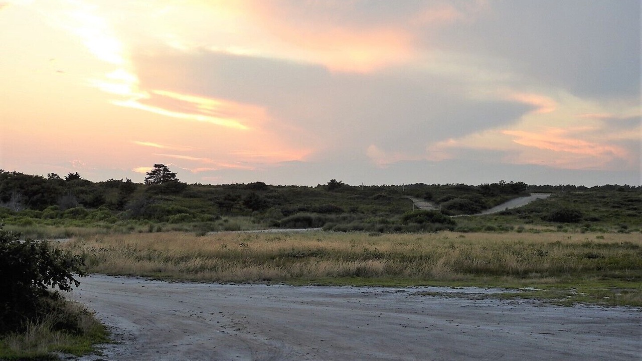 Photo of Others in Edgartown