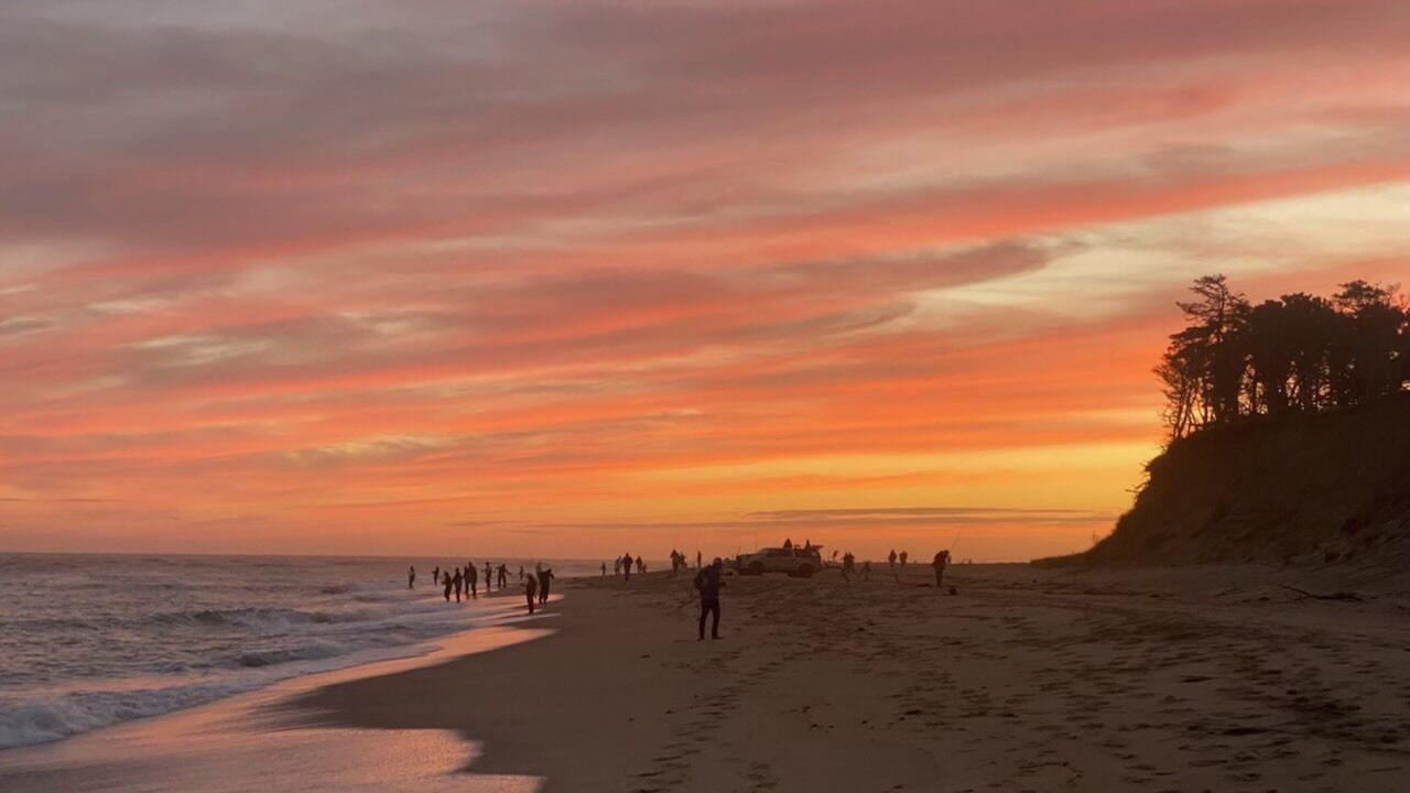Photo of Others in Edgartown