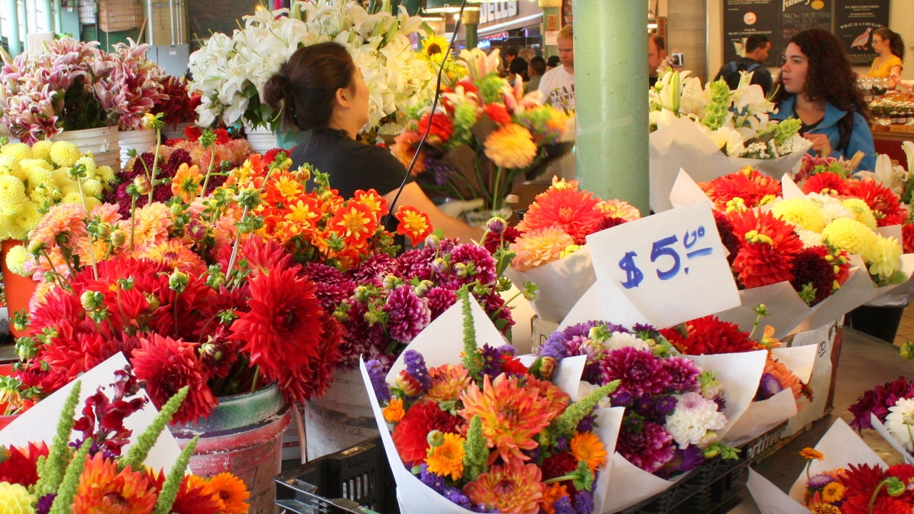 Photo of Others in Queen Anne