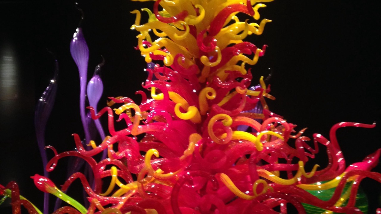 Photo of Others in Queen Anne