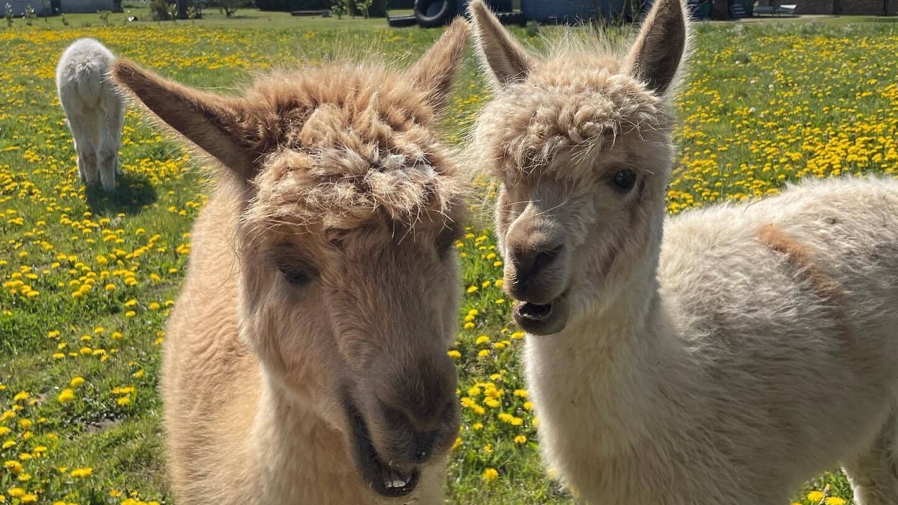 Photo of Outdoor in North Kelsey