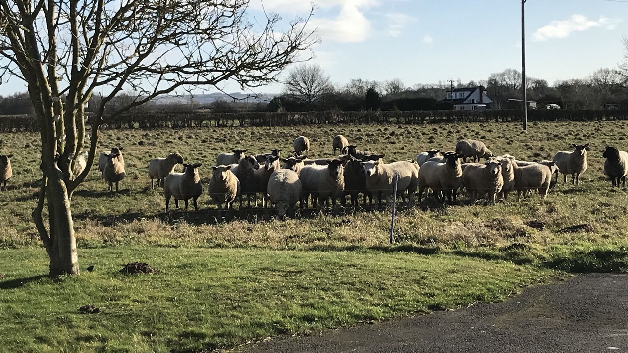 Photo of Outdoor in North Kelsey