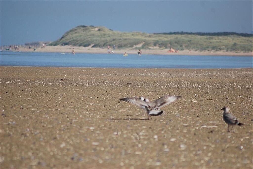 Photo of Others in Oye-Plage