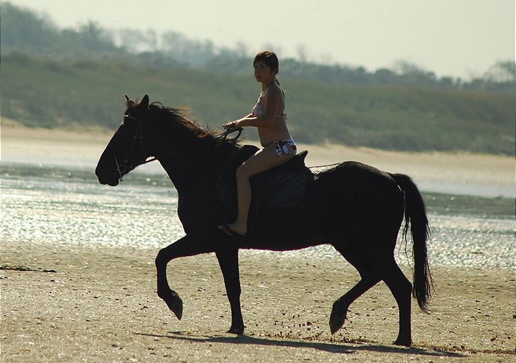 Photo of Others in Oye-Plage