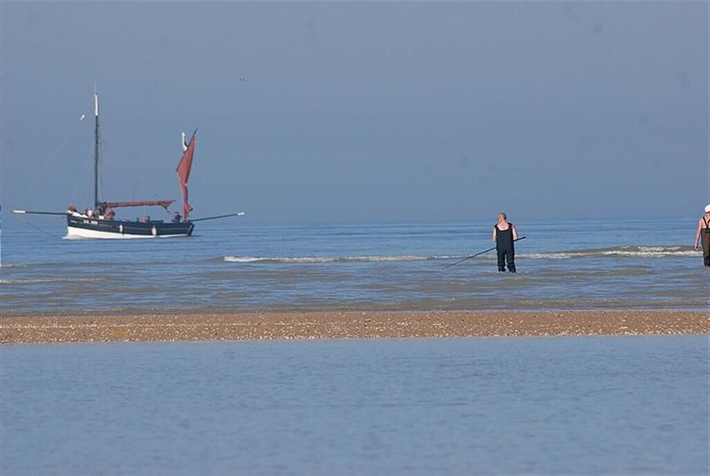 Photo of Others in Oye-Plage