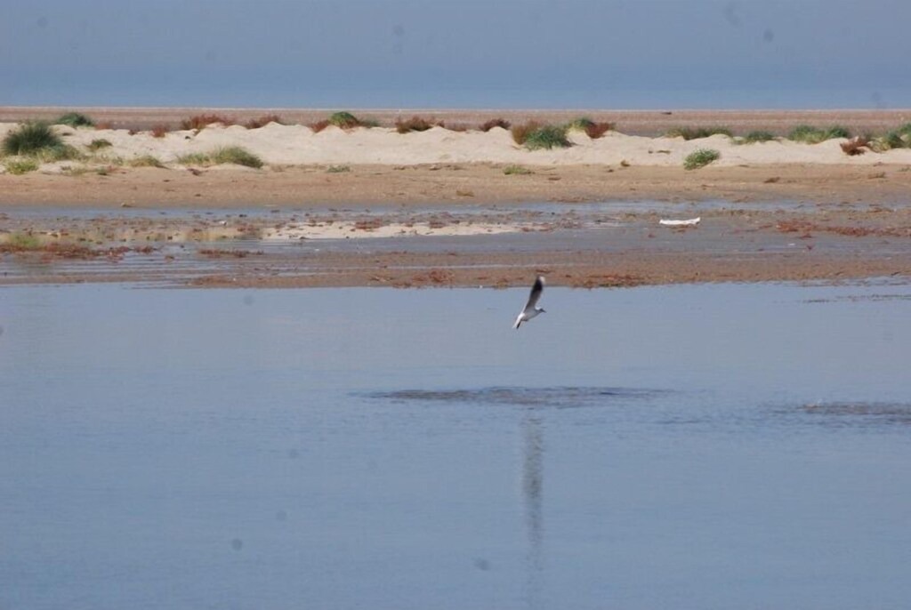 Photo of Others in Oye-Plage