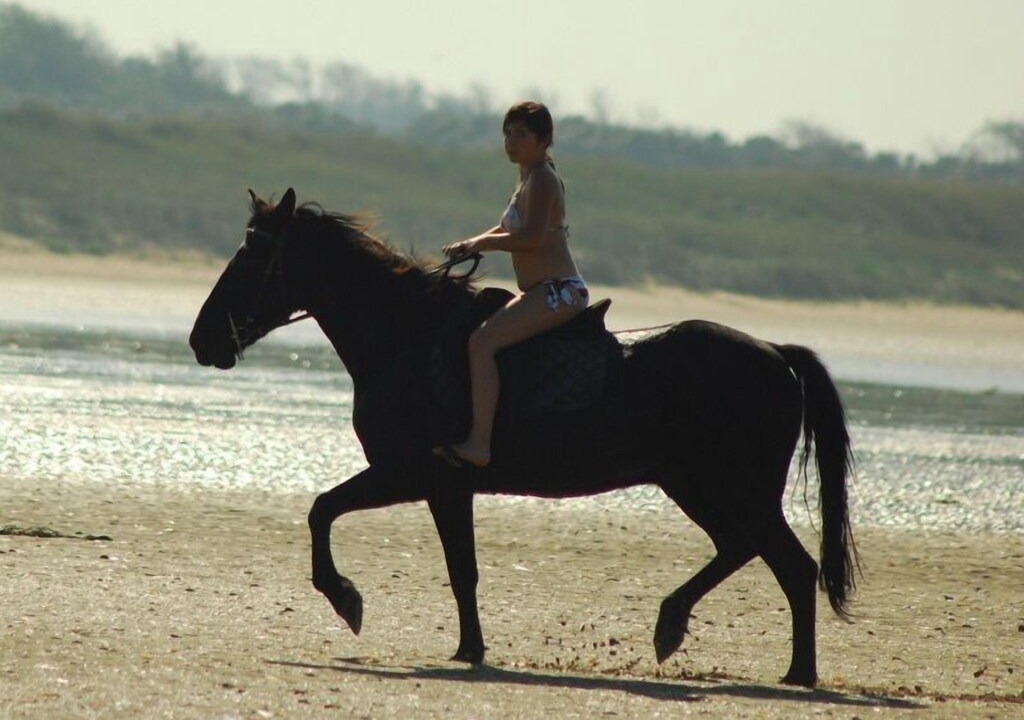Photo of Others in Oye-Plage