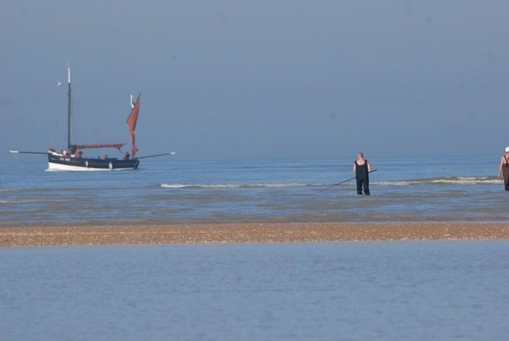 Photo of Others in Oye-Plage
