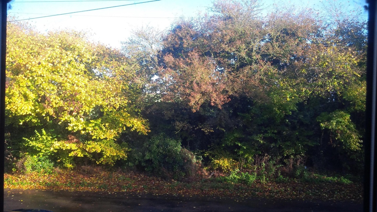 Photo of Others in Flamstead