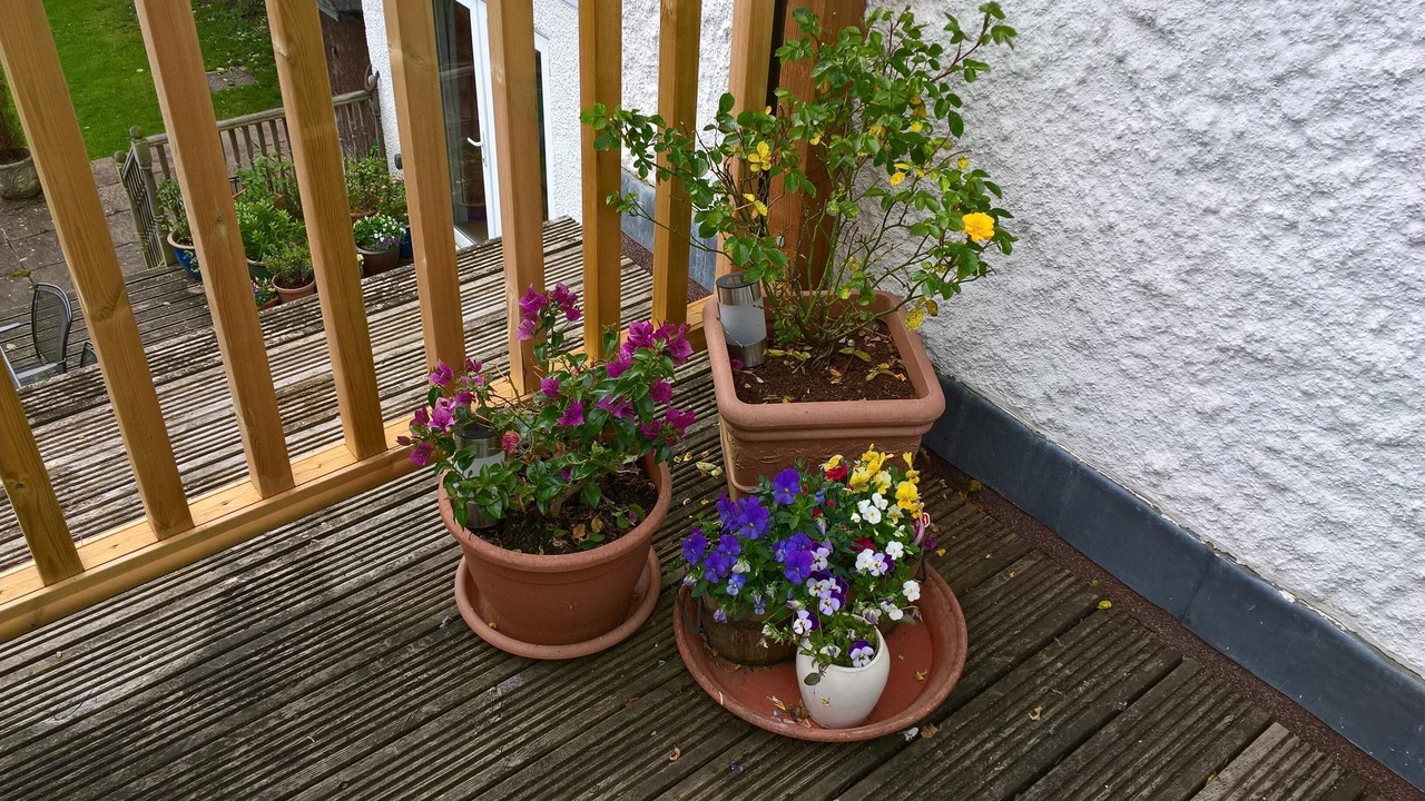 Photo of Outdoor in Flamstead