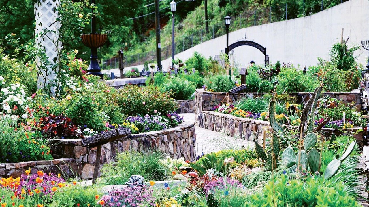 Photo of Outdoor in Lake Lure
